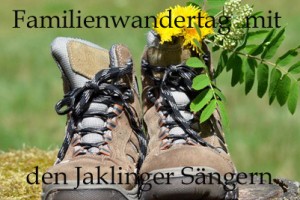 Wanderschuhe Blumenwiese Sommer